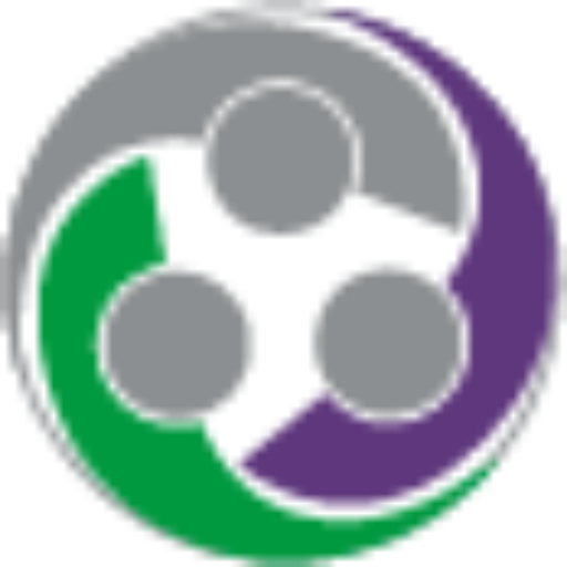 Ícono de Dunamis Silver, agencia de publicidad y marketing digital estratégico.